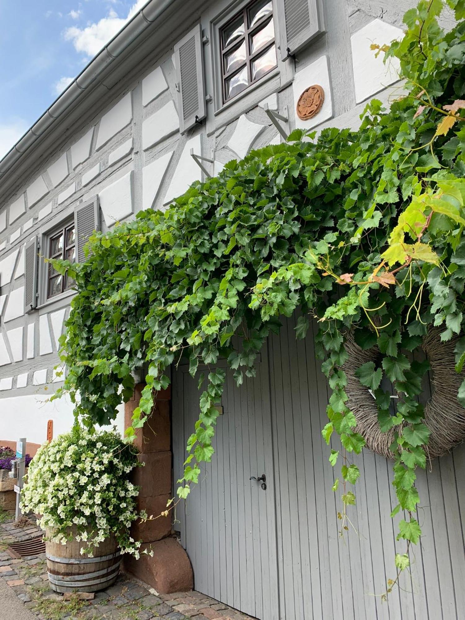 Ferienwohnung Sambachhaus Gleiszellen-Gleishorbach Eksteriør bilde